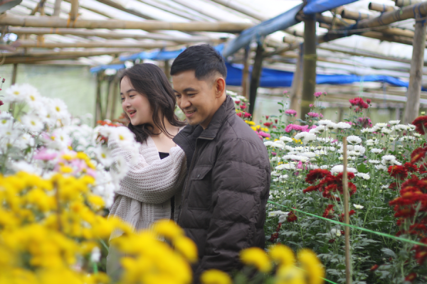 Greenhouse & Gardens